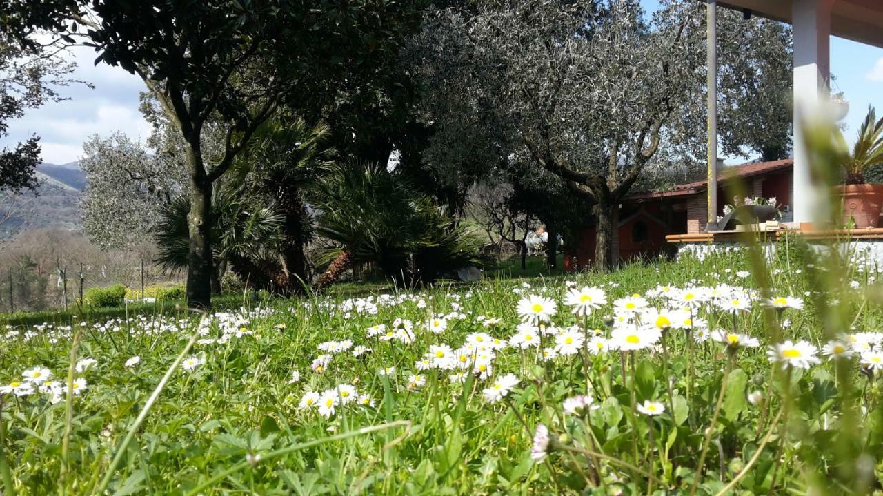 B&B La Mita Giuliano di Roma Buitenkant foto
